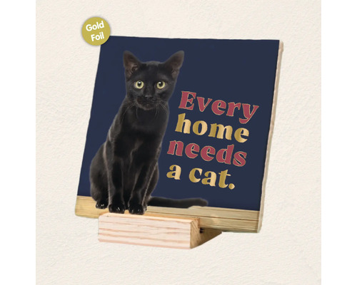 Decoratief wandbord met een zwarte kat en de tekst Every home needs a cat met goudfolie afwerking op een houten standaard.