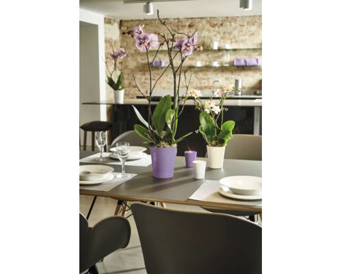 Eettafel gedecoreerd met orchideeën in plantenpotten en kaarsen voor een open keuken met bakstenen muur.