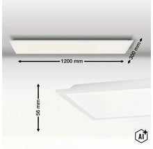 Rechthoekig ledpaneel met afmetingen 1200 mm lengte, 300 mm breedte en 56 mm hoogte. (Image AI modified or generated)