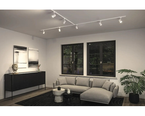 Modern woonkamerinterieur met wit railsysteem aan het plafond, grijze hoekbank, zwart dressoir, twee ramen en een kamerplant.