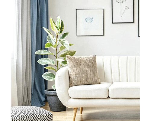 Lichte woonkamer met een moderne bank, een gestructureerd kussen, een kamerplant en wanddecoratie voor een gezellige sfeer.