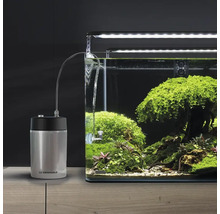 Dennerle CO2 bemestingssysteem met drukregelaar en slang naast een beplant aquarium.