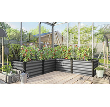 L-vormige verhoogde plantenbak van metaal in een kas met tomatenplanten, naast tuingereedschap en een gieter op een houten vloer.
