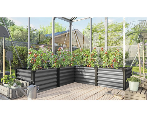 L-vormige verhoogde plantenbak van metaal in een kas met tomatenplanten, naast tuingereedschap en een gieter op een houten vloer.