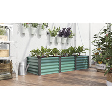 Rechthoekige metalen plantenbak in een kas, beplant met rode biet, omringd door planten in hangende en staande potten.