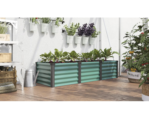 Rechthoekige metalen plantenbak in een kas, beplant met rode biet, omringd door planten in hangende en staande potten.