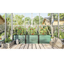 Rechthoekige metalen verhoogde plantenbak in een kas met tomatenplanten, tuingereedschap en houten kisten op een houten terras.