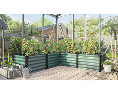 Hoekverhoogde bak van metaal in een kas met tomatenplanten op een houten terras.