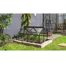 Een kleine koude bak van glas met een zwart metalen frame op een gazon in een tuin.