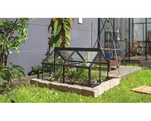 Een kleine koude bak van glas met een zwart metalen frame op een gazon in een tuin.