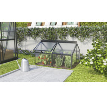 Een kleine koude bak van kunststof met een aluminium frame staat in de tuin naast een gieter, met tomatenplanten erin.