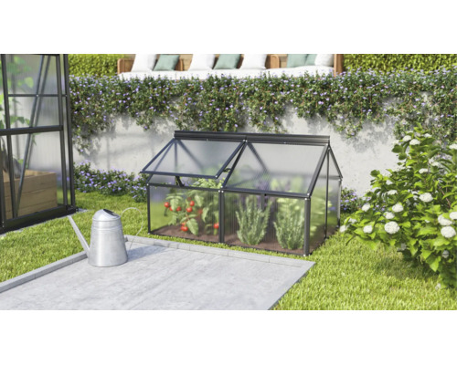 Een kleine koude bak van kunststof met een aluminium frame staat in de tuin naast een gieter, met tomatenplanten erin.