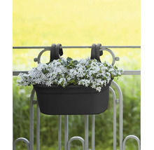 Balkonbak voor ophanging aan balustrade met beplante witte bloemen.
