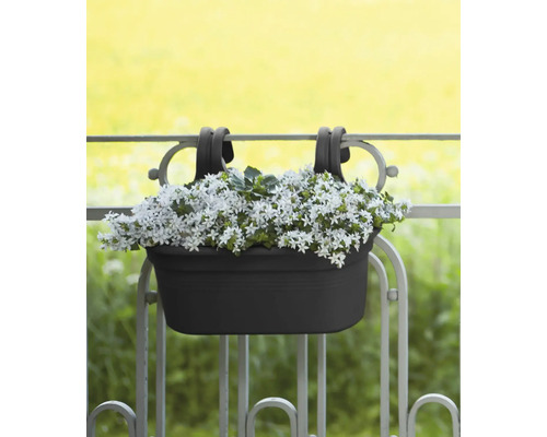Balkonbak voor ophanging aan balustrade met beplante witte bloemen.