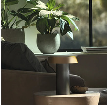 Moderne tafellamp met geribbelde voet op een houten tafel in een lichte woonkamer met kamerplanten.