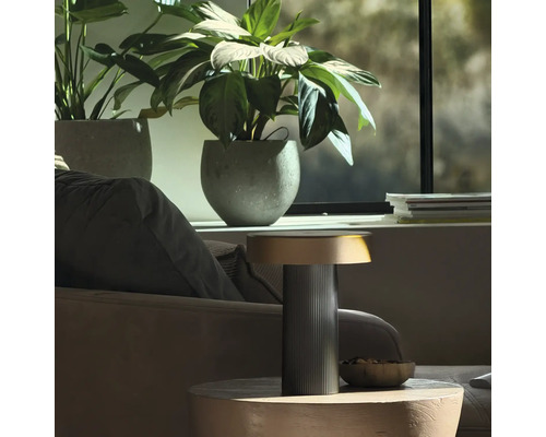 Moderne tafellamp met geribbelde voet op een houten tafel in een lichte woonkamer met kamerplanten.