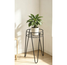 Kamerplant in een ronde pot op een driepotige metalen bloemenstandaard in een interieur.