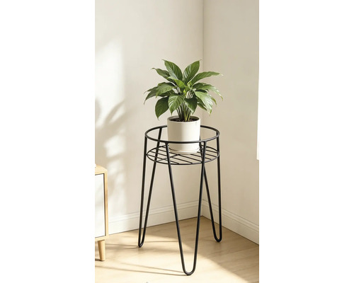 Kamerplant in een ronde pot op een driepotige metalen bloemenstandaard in een interieur.