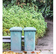 Twee afvalcontainers met deksel op wielen voor een heg