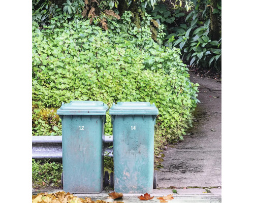 Twee afvalcontainers met deksel op wielen voor een heg
