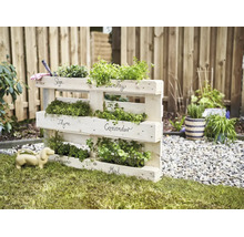 Houten pallet kruidenrek voor de tuin met gelabelde vakken voor diverse kruiden.