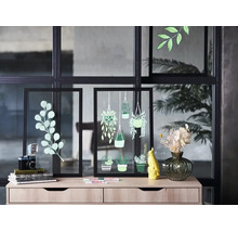 Twee zwarte glazen lijsten met plantentekeningen op een licht houten dressoir met decoratieve objecten voor een glazen wand.