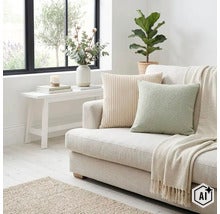 Lichte woonkamer met bank, gestructureerde sierkussens, plaid, bijzettafel met bloemenvaas en kamerplant in een modern interieur. (Image AI modified or generated)
