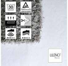 Informatie over de verzorging en kwaliteit van het tapijt en het Lileno Home logo