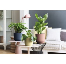 Decoratieve kamerplanten in gestructureerde potten op bijzettafels in een woonkamer.