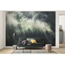 Woonkamer met fotobehang berg bos in de mist, bank, salontafel en decoratie