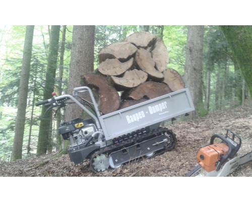 Rupsdumper met boomstammen en kettingzaag in bos