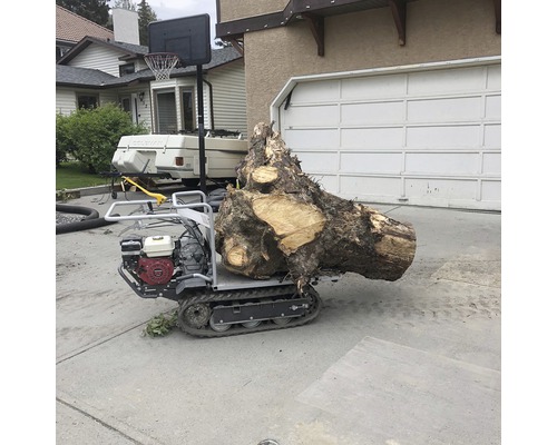Rupsvoertuig met boomstronk voor garage