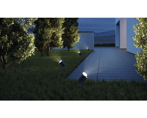 Tuinaanzicht met gazon, bomen en verschillende grondspots om een huis te verlichten