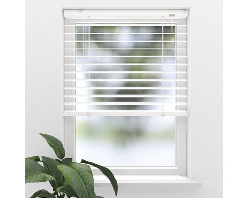 Raam met horizontale jaloezie voor lichtregeling