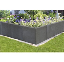 Betonnen plantenbak met bloeiende planten in de tuin