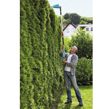 Man snoeit hoge heg met accuheggenschaar met telescopische steel