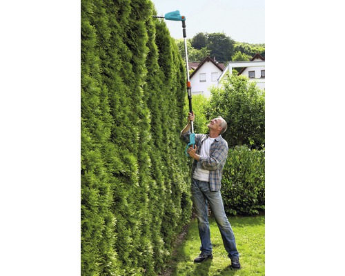Man snoeit hoge heg met accuheggenschaar met telescopische steel