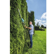 Man snoeit heg met een heggenschaar