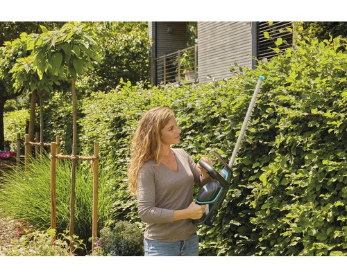 Vrouw snoeit heg met heggenschaar in de tuin