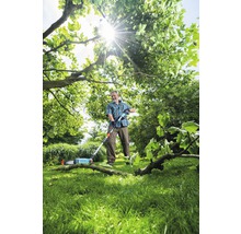 Man snoeit takken met een hoogtetakkenzaag in een tuin.