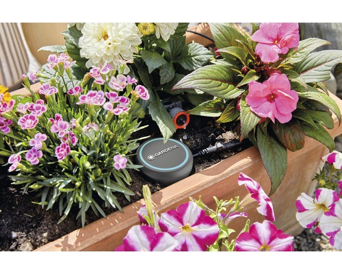 Bloembak met irrigatiesysteem en verschillende bloeiende planten