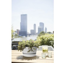 Bloempot met schotel en beplanting op een tafel
