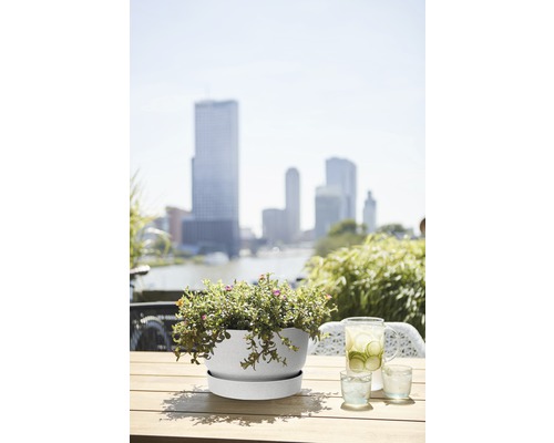 Bloempot met schotel en beplanting op een tafel