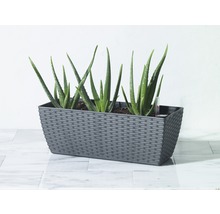 Rechthoekige plantenbak met Aloë Vera planten en vochtmeter