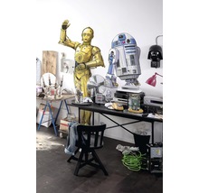 Scène met C-3PO- en R2-D2-figuren op een tafel met diverse objecten.
