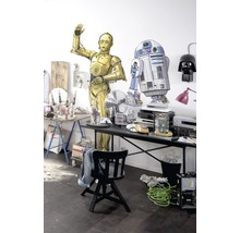 Werkkamer met Star Wars decoratieve figuren C-3PO en R2-D2 op een bureau