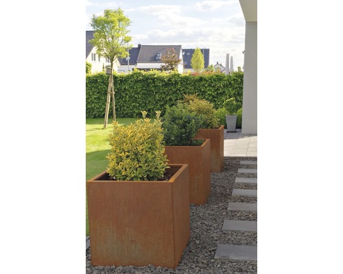 Drie metalen plantenbakken in de tuin met planten