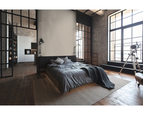 Lichte slaapkamer in loftstijl met bed, tapijt, ramen en open keuken