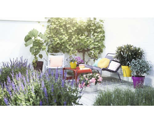 Gedecoreerde tuin met zitmeubelen en planten