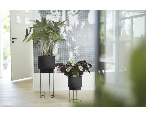 Twee kamerplanten in plantenbakken met metalen frame staan in de kamer.